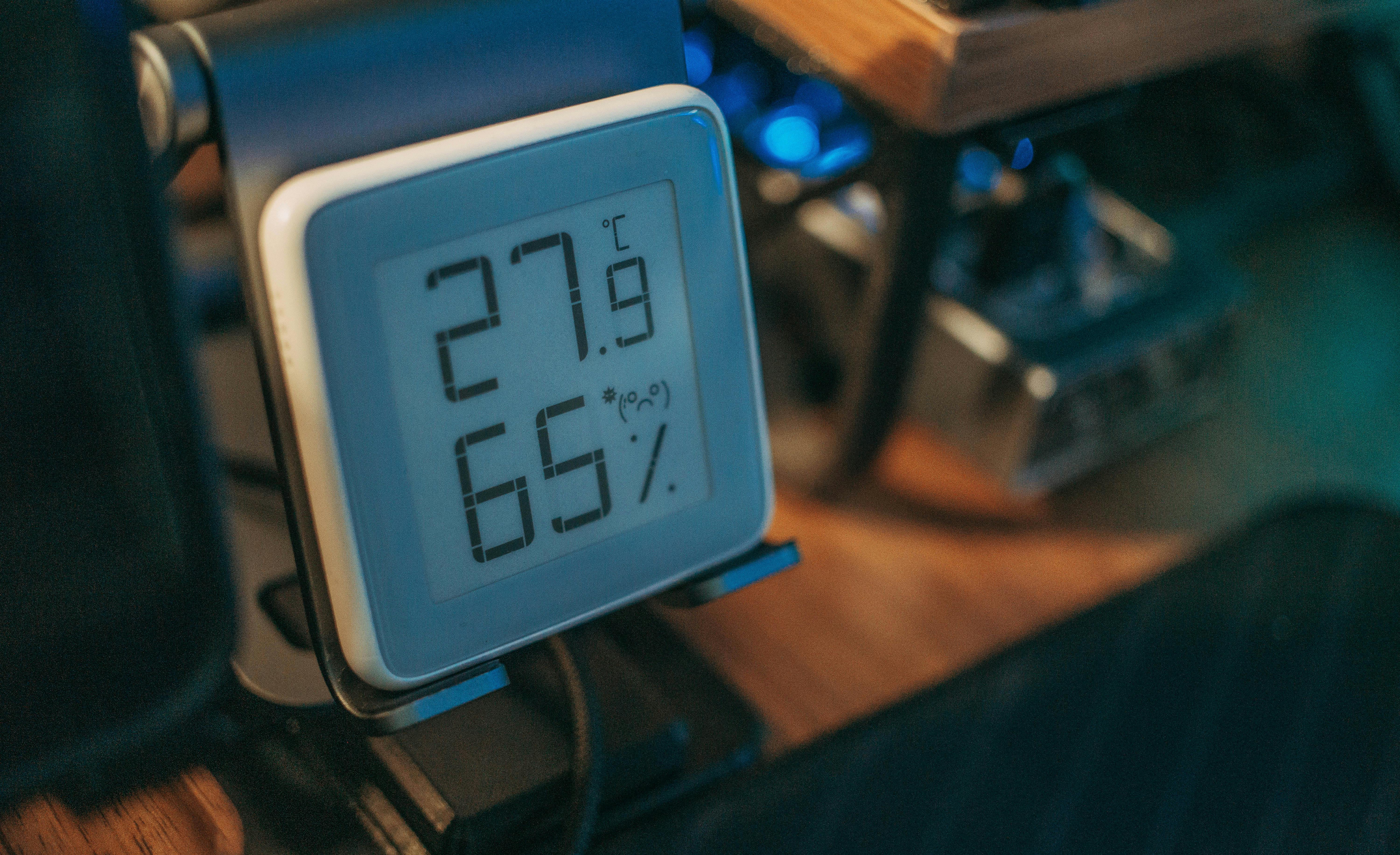 Best Indoor Plants for Low Humidity Homes