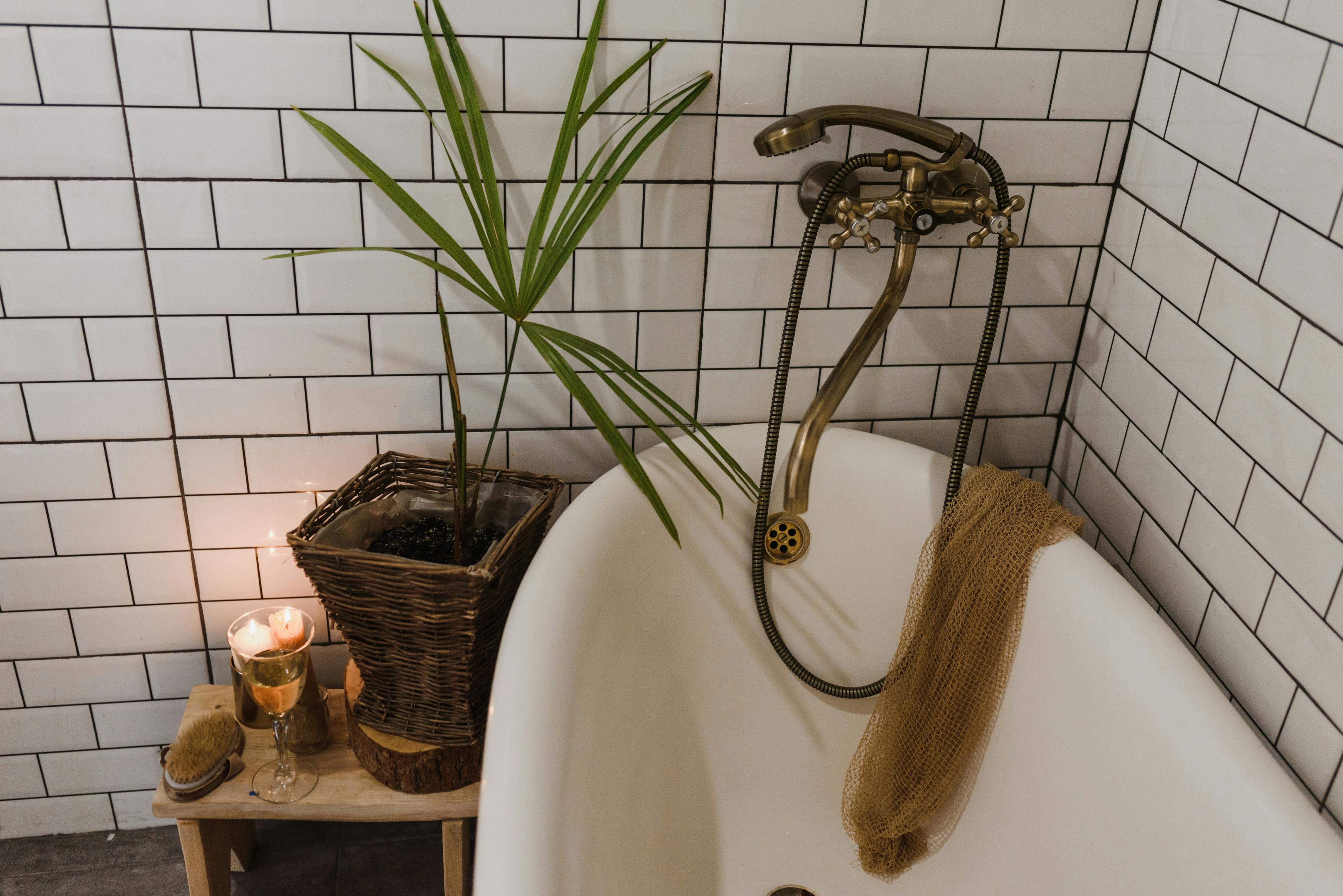 Best Plants for Bathrooms: Thrive in Humidity and Low Light