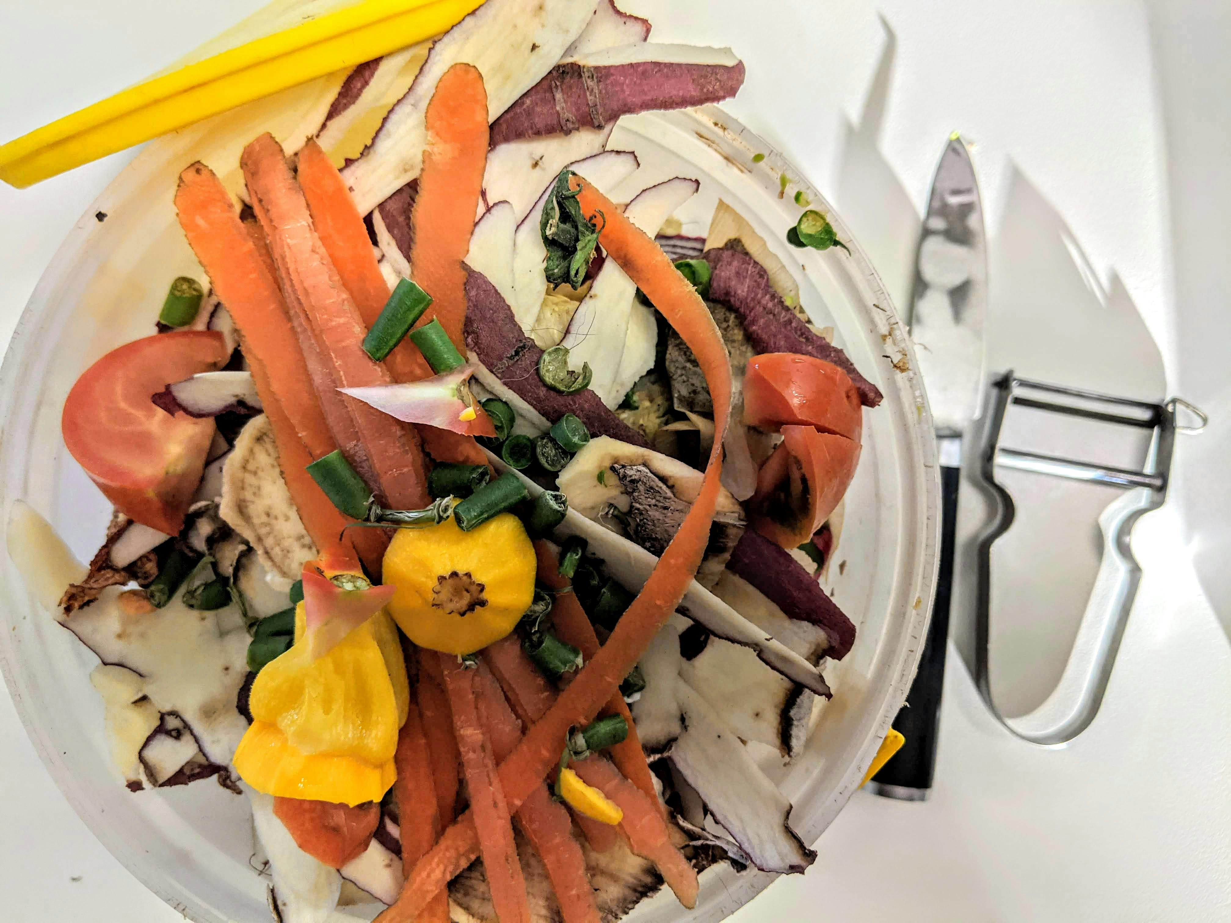 Composting for Beginners: Turn Kitchen Scraps Into Garden Gold