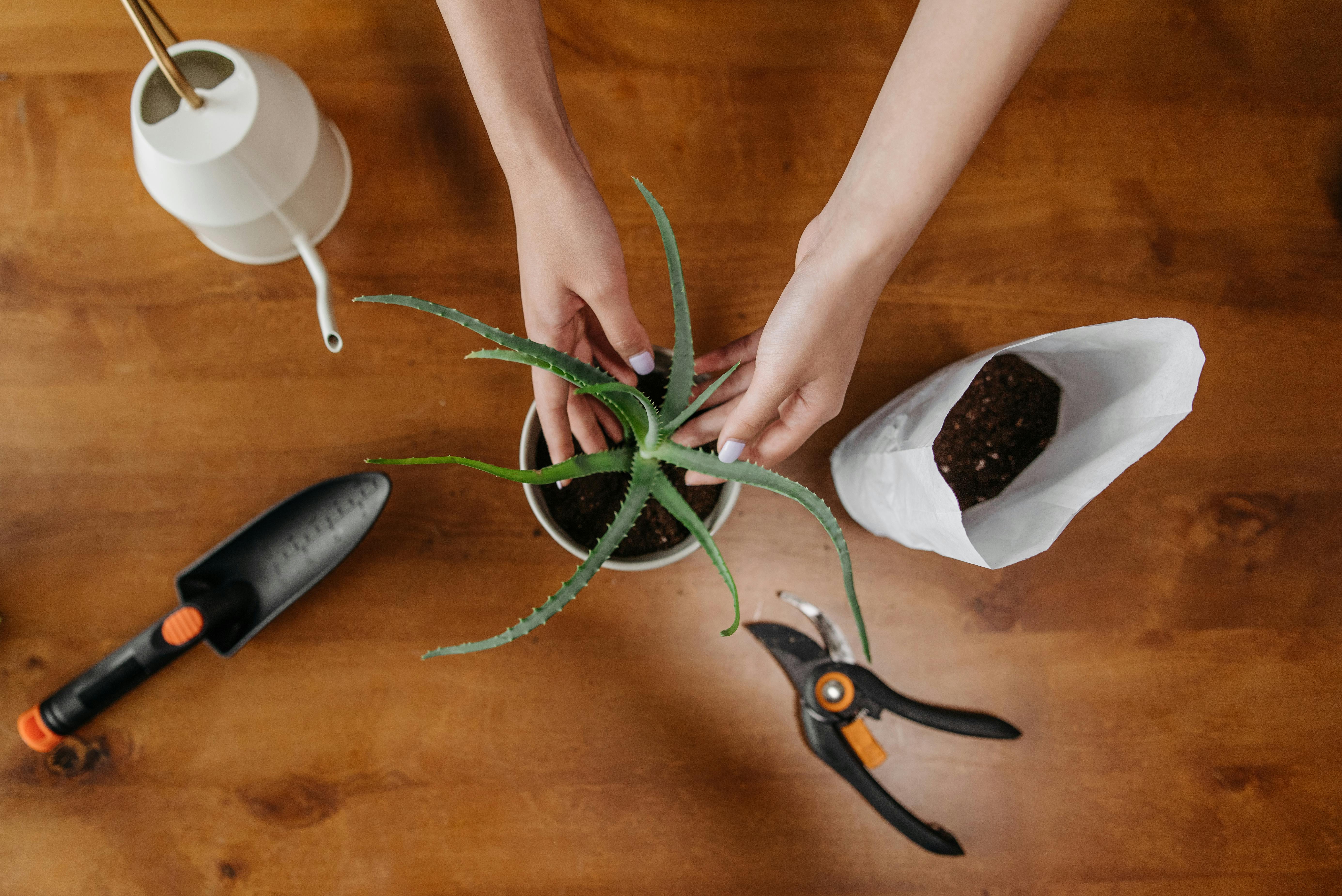 DIY Self-Watering Planter: Keep Plants Hydrated Between Waterings