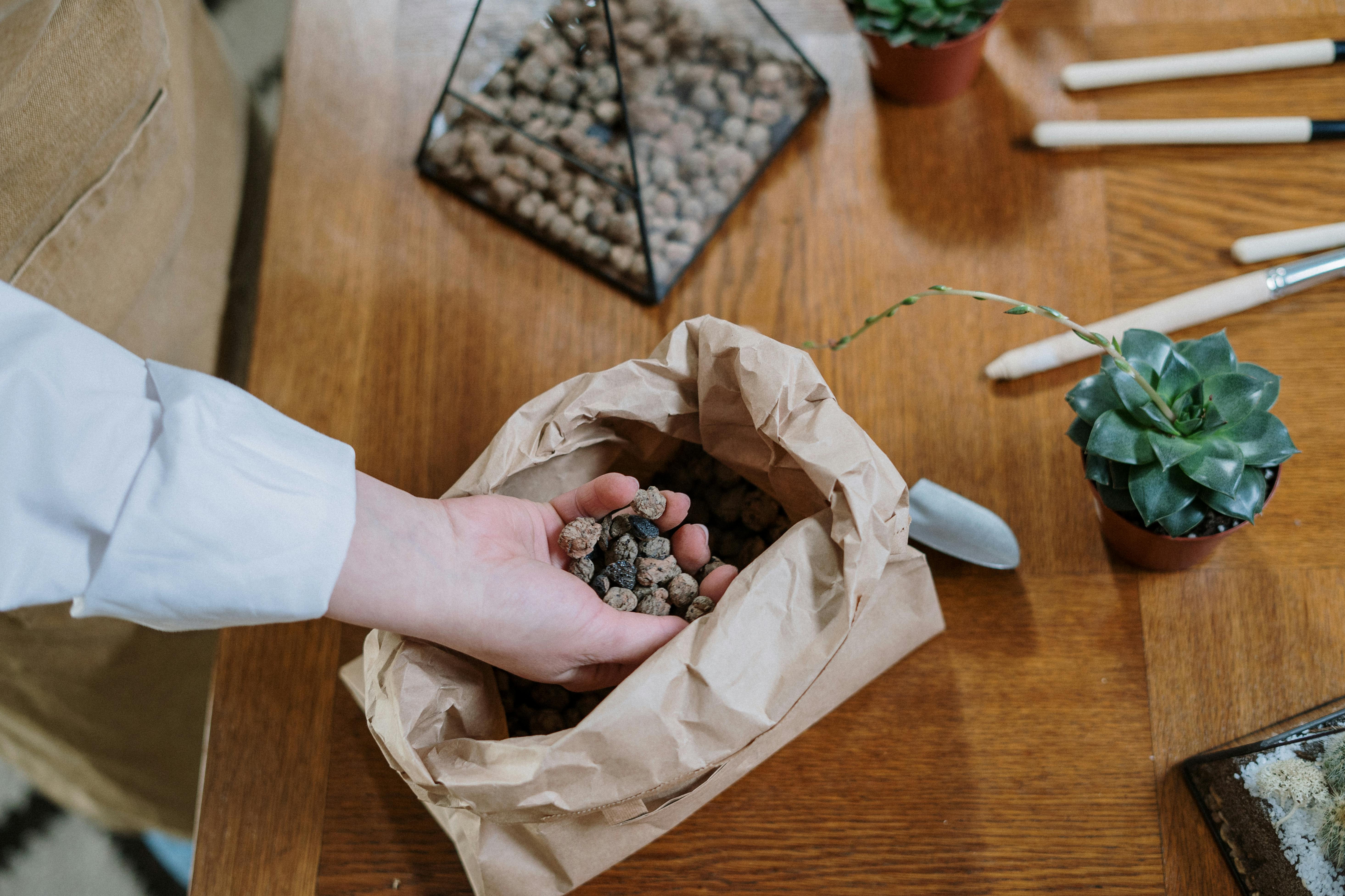 Liquid vs. Granular Fertilizer for Houseplants: Which to Use