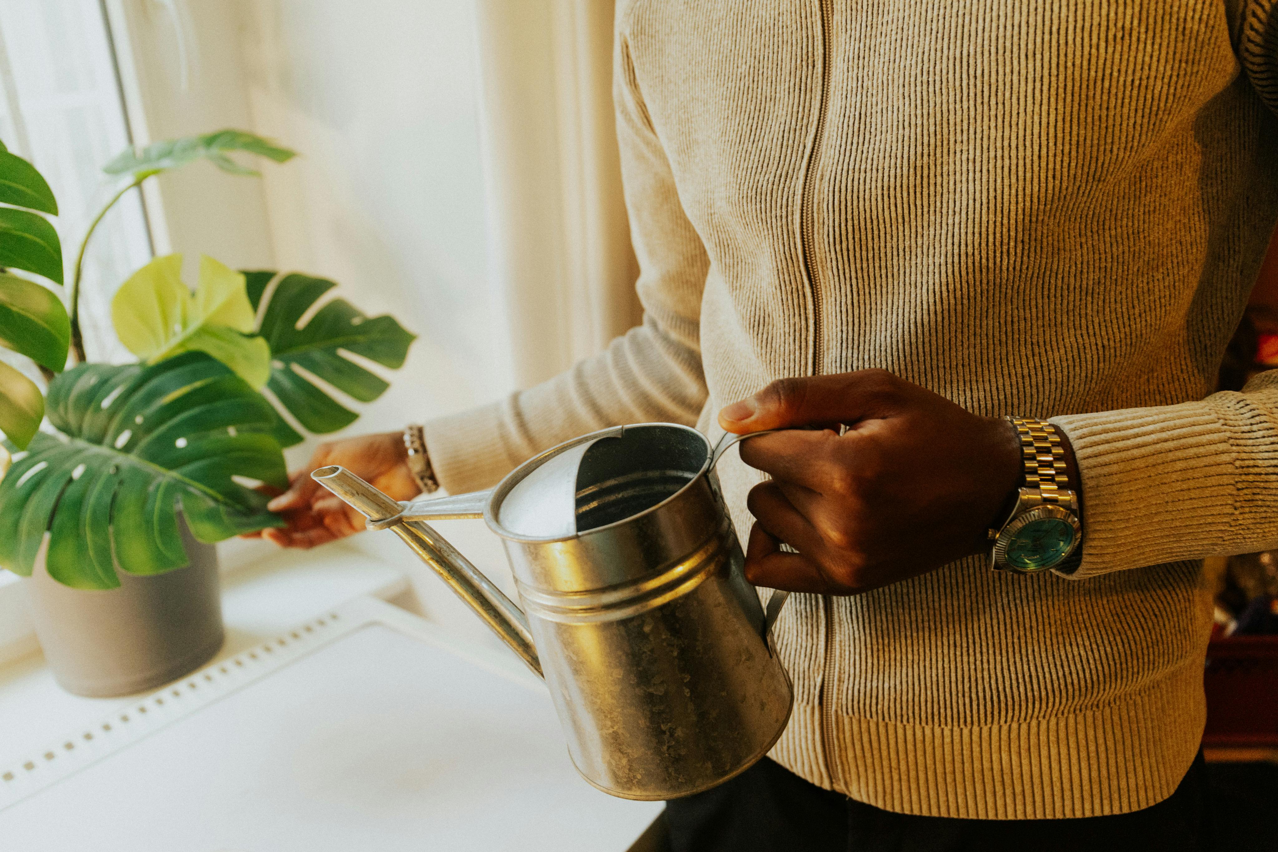 Spring Houseplant Care Checklist: Wake Plants After Winter